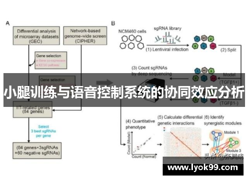 小腿训练与语音控制系统的协同效应分析